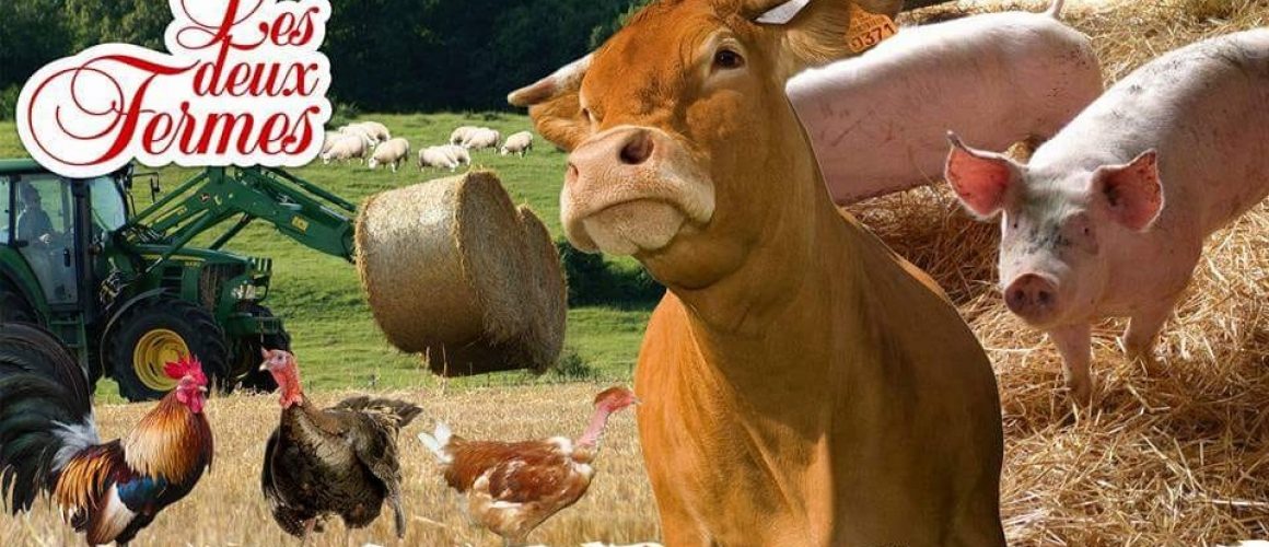 Steaks hachés buffalo assaisonnés - 10 pièces