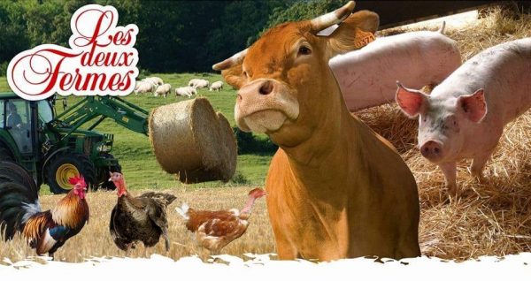 Steaks hachés buffalo assaisonnés - 10 pièces