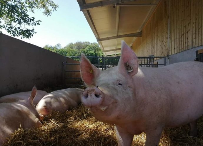 237058272_1989608237869710_8660284164248383729_n