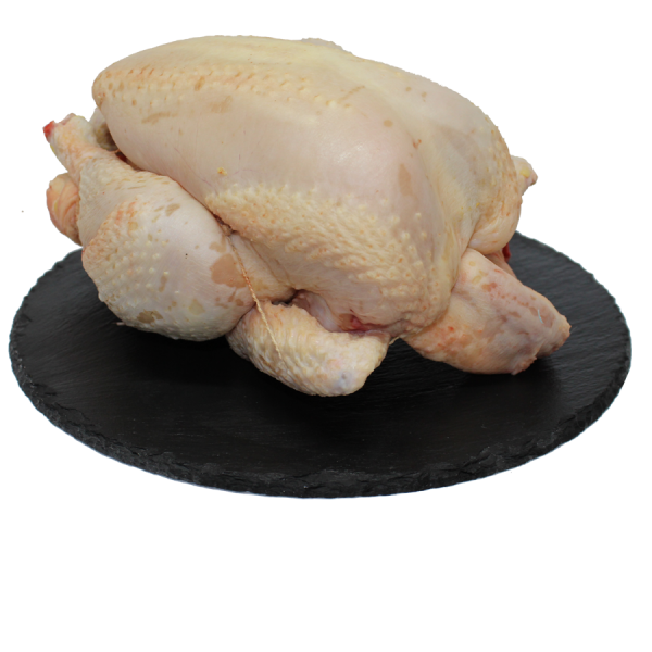 Poulet de la ferme